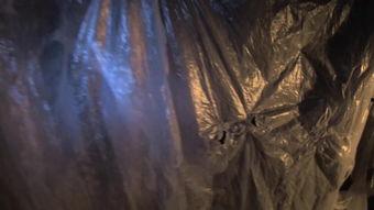 镜花风月之与鬼同眠,幽梦与鬼魅共舞的奇幻之旅